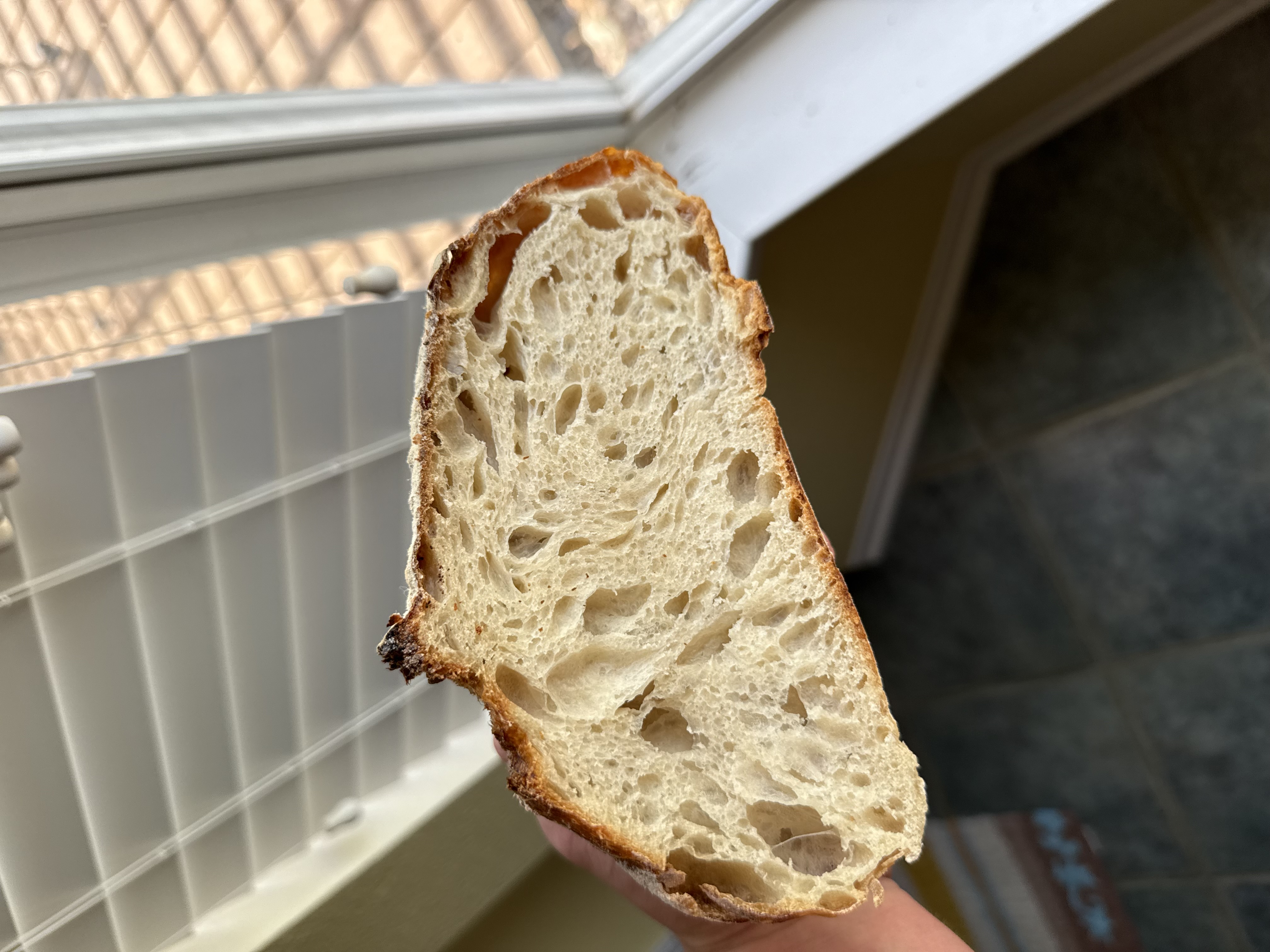 Sourdough crumb shot